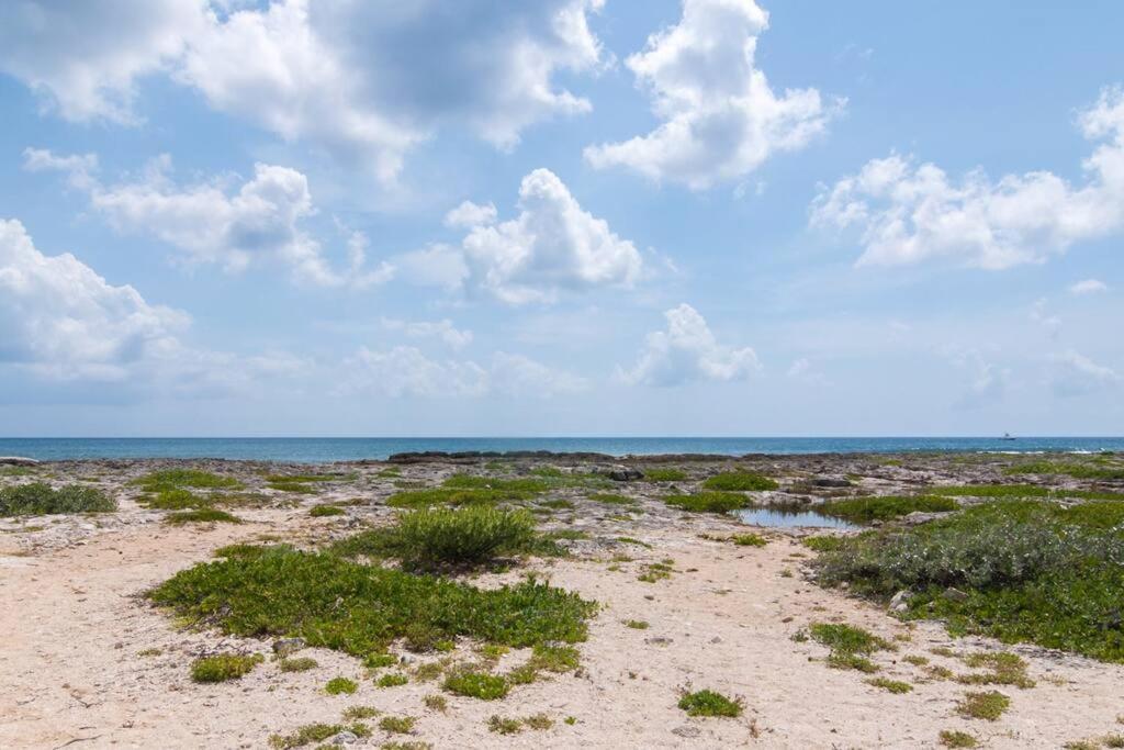 Ground Level Garden Condo At Akumal South By Tao Santamar Ngoại thất bức ảnh