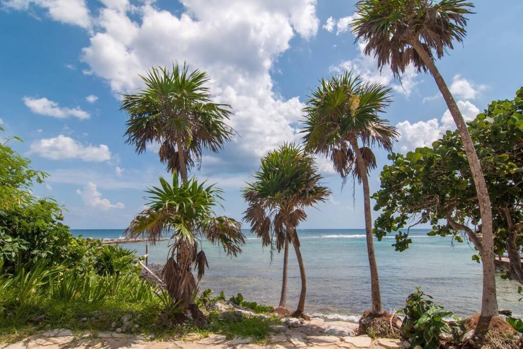 Ground Level Garden Condo At Akumal South By Tao Santamar Ngoại thất bức ảnh