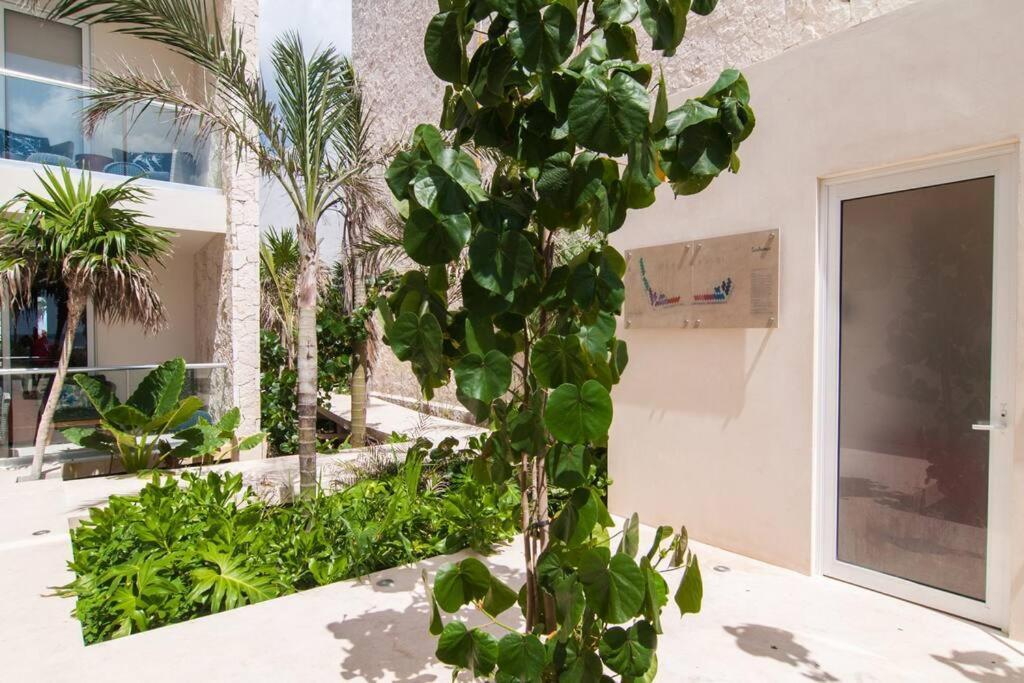 Ground Level Garden Condo At Akumal South By Tao Santamar Ngoại thất bức ảnh
